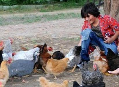 Pousada Fazenda Santa Fe Bezerros Exteriör bild