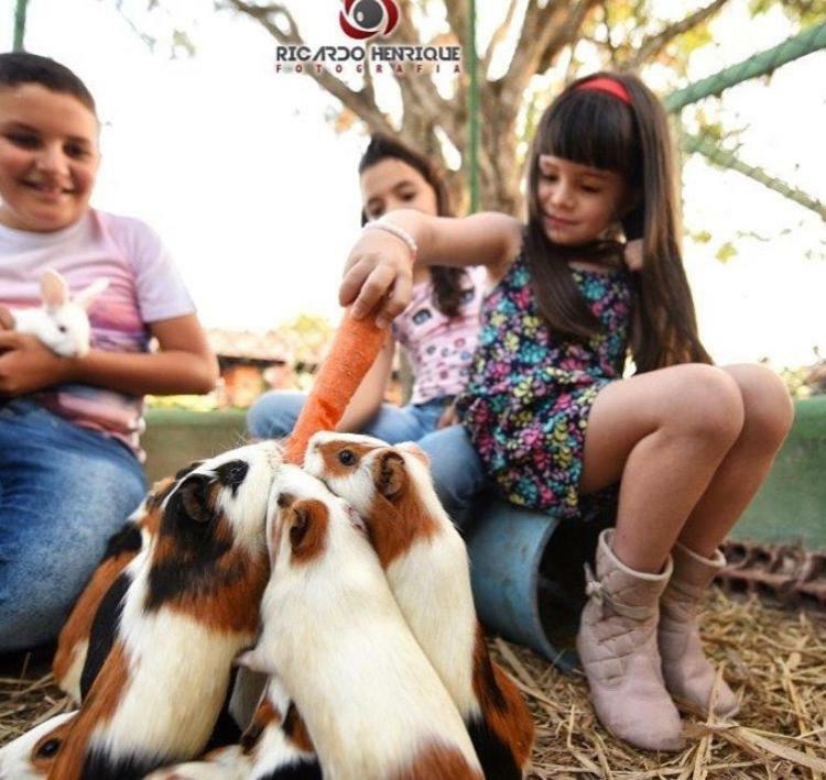 Pousada Fazenda Santa Fe Bezerros Exteriör bild